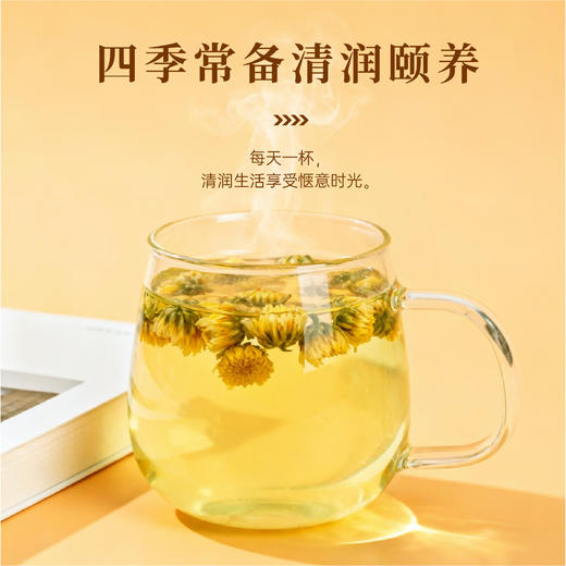 东篱下东篱菊40g 商品图2