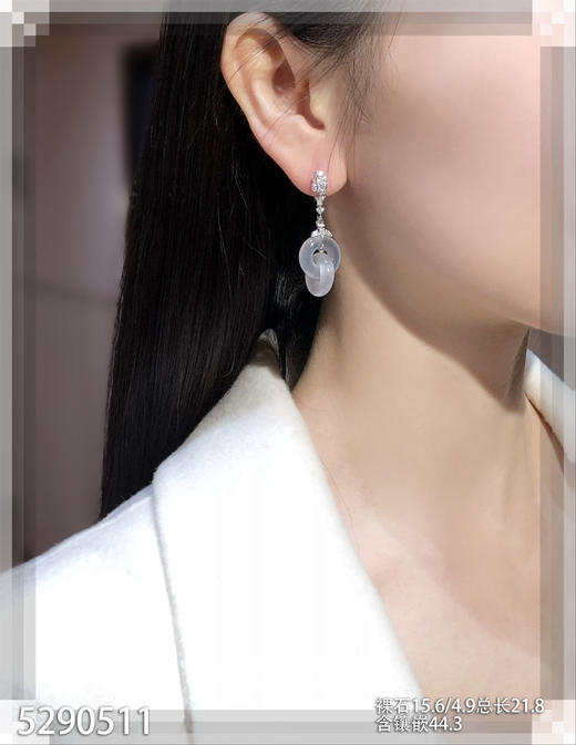 5290511，双环耳坠。具体价格微信操作 商品图4