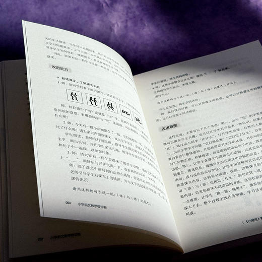 小学语文教学微诊断 大夏书系 语文之道 张正耀 立足新课标核心理念 商品图9