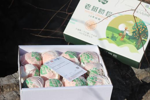 五届金奖老树脐橙，25年沉淀的稀缺果实 商品图9