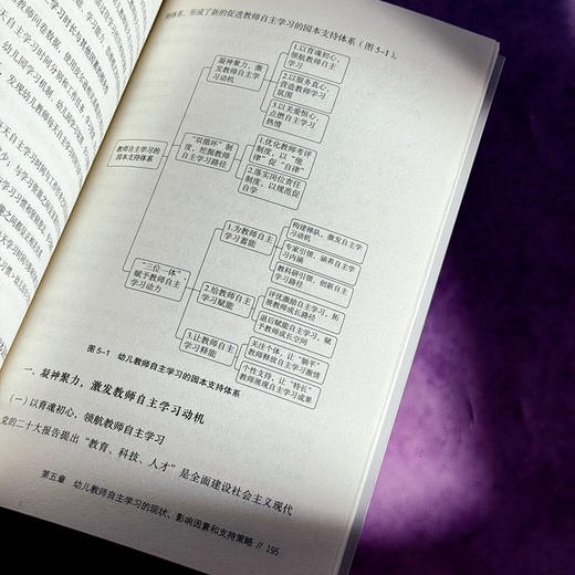 园本教师专业发展 5所幼儿园的实践与研究 大夏书系 幼儿教育 商品图12