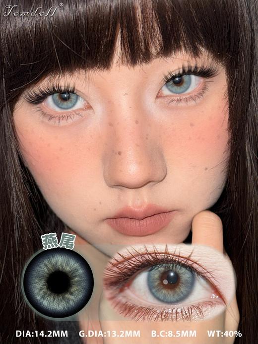 tomdoll半年抛 燕尾 蓝/夜莺/涩谷辣妹 棕灰红 14.2mm 商品图1