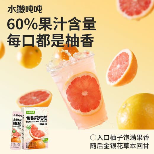 【清凉一夏】水獭吨吨 鲜萃液系列 5口味组合 150g 商品图3