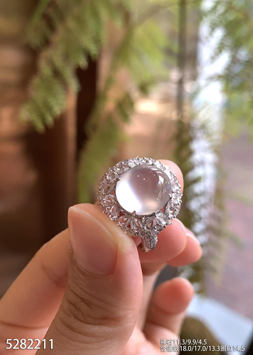 5282211，蛋面戒指。具体价格微信咨询 商品图2