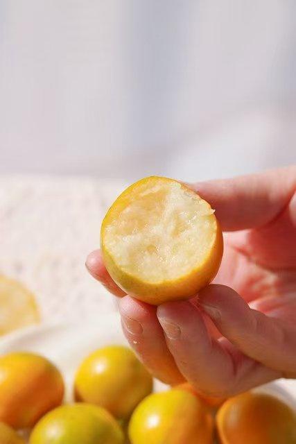 【10号晚上24点截单 融安滑皮金桔】一颗甜金桔 脆甜可口 肉质细腻 香甜水润 早期青黄相间 理气又润喉 商品图4