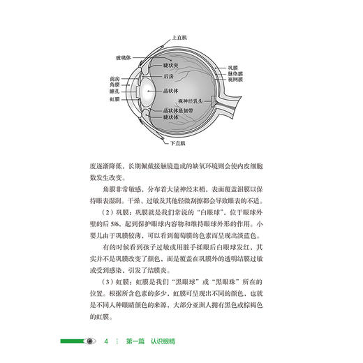 守护“睛”彩人生 儿童眼病知多少 张晓敏 韩丁 本书聚焦儿童青少年人群 目标人群明确 适合家长及儿童共同科普学习人民卫生出版社 商品图3