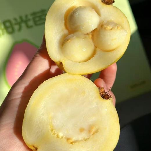 老树奶油芭乐【4斤】~皮奶白色/淡黄色，果肉软糯，清甜口，冰淇淋一样的口感，浓烈的芭乐香，减肥三高人士首选！ 商品图5