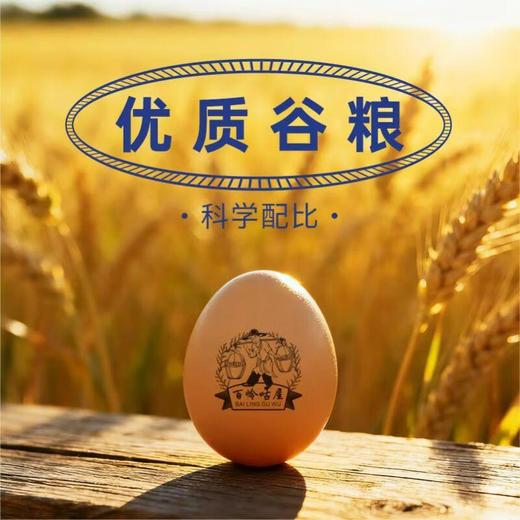 百岭咕屋优醇鲜鸡蛋 15枚/盒 商品图2