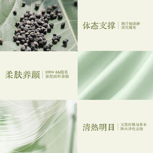 双12活动🔥【真不二】新品绿罗绮蚕砂颈枕有机蚕丝送礼枕头（会员福利价） 商品图3