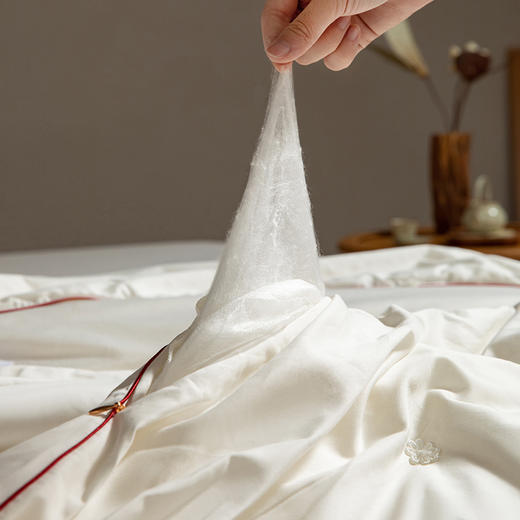 严选 | 顶柔家纺金鳞福禄桑蚕丝子母被BX2266 商品图3