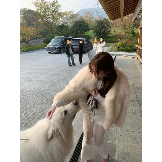 LINCHAOZHANG【干金归来】 LW250186 皮草外套 商品图3