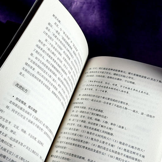 小学语文教学微诊断 大夏书系 语文之道 张正耀 立足新课标核心理念 商品图12