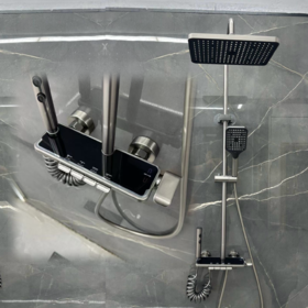 5955  普罗旺斯全铜四档花洒-枪灰