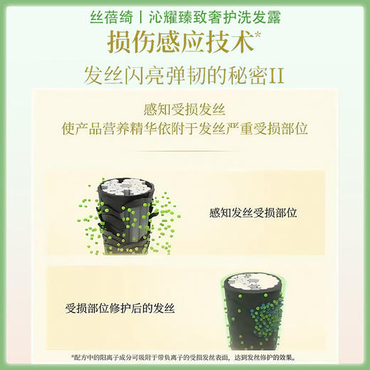 finetoday丝蓓绮深层修复受损发丝洗发水 450ml【BS】 商品图2