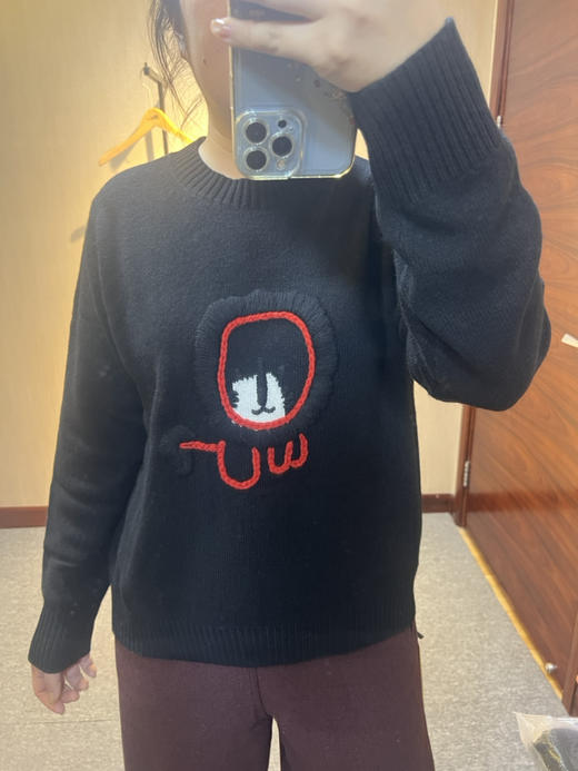 水淼2025冬新款百搭时尚休闲圆领提花柔软毛衣1358 商品图8