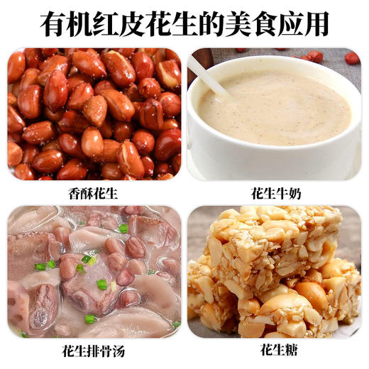 人民 有机红皮花生250g 商品图2