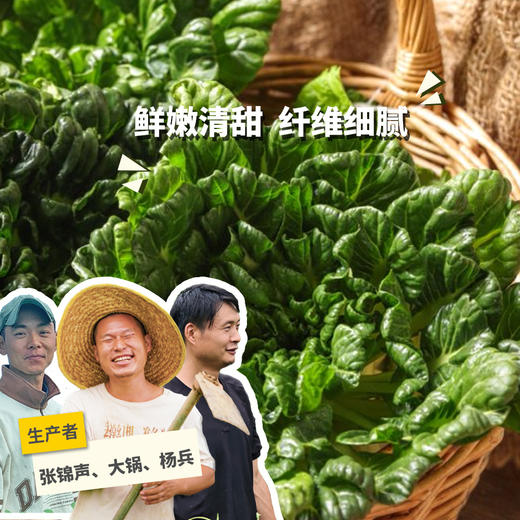 生态乌塌菜 | 绿家自产 * Eco-choy sum | Self-production 商品图0
