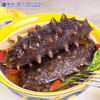 [獐子岛] 小白盒 即食海参( 500g/盒、1188g/盒) 商品缩略图1