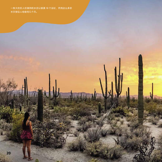 《绿色星球》（全5册） 商品图14