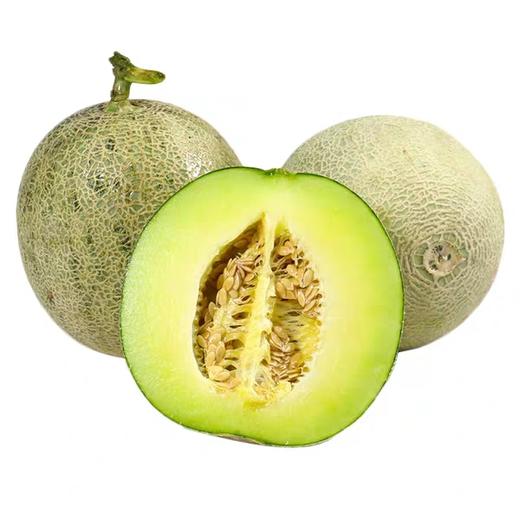 【海南 网纹瓜】把阳光嚼成甜水，高纤爆汁甜，吃饱不胖还补营养、凭口感火遍全网的营养狠角色！一口穿越热带，寒冷直接退散！ 商品图3