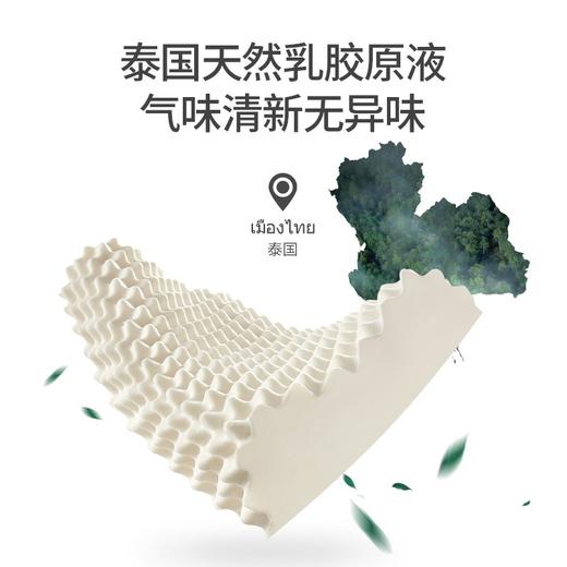 佳奥 大颗粒按摩款乳胶枕J13B26AW2-BK 商品图1