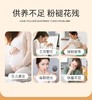 张太和黄芪当归党参玫瑰元气养生茶100g(5g*20)/袋*2袋 商品缩略图1