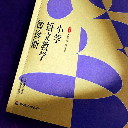 小学语文教学微诊断 大夏书系 语文之道 张正耀 立足新课标核心理念 商品图4
