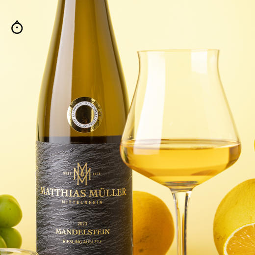 企鹅市集|德国马穆勒博瀚酒庄 杏石园逐粒精选雷司令 特级园Auslese甜白葡萄酒 商品图2