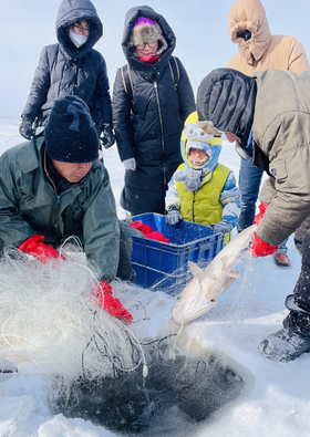 【单日】和爸妈一起抓鱼去！去体验最原汁原味的冬捕！