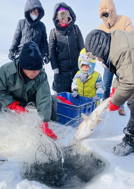 【单日】和爸妈一起抓鱼去！去体验最原汁原味的冬捕！ 商品图0