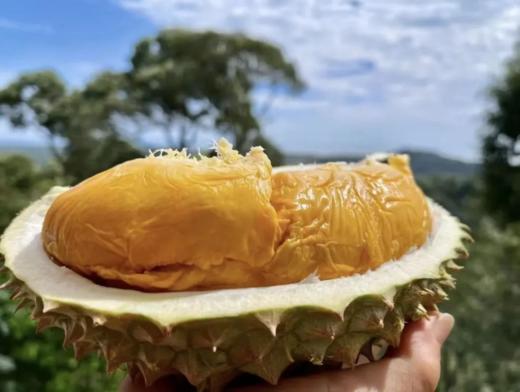 榴莲王者|今年首批空运马来西亚新鲜【黑刺】榴莲！奢华美味 顺滑香醇超好吃！ 商品图1