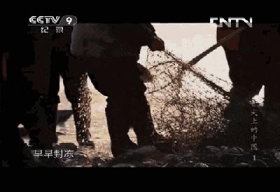【单日】和爸妈一起抓鱼去！去体验最原汁原味的冬捕！ 商品图2