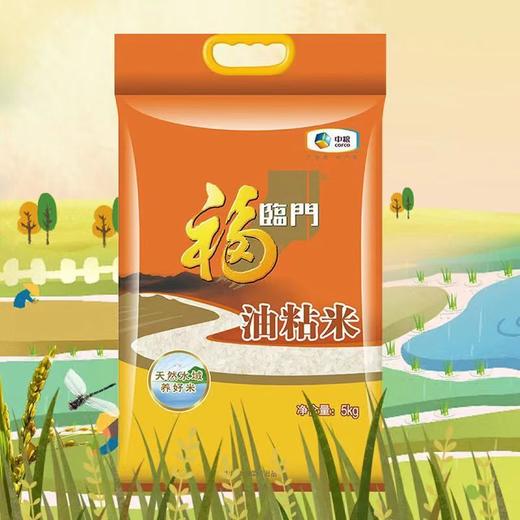 福临门油粘米5KG 商品图0
