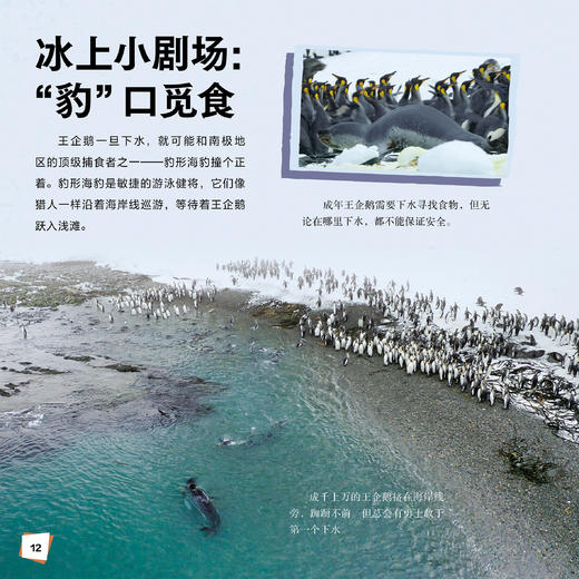 《冰冻星球Ⅱ》（全6册） 商品图10