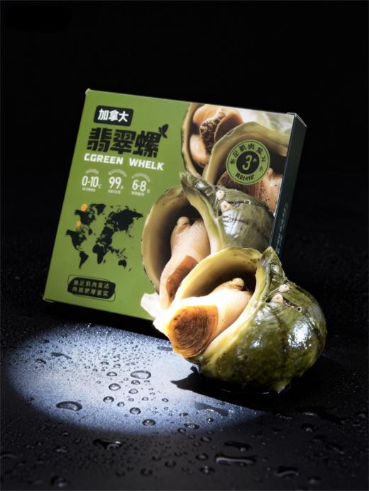 加拿大翡翠螺500g/盒    2盒/4盒 商品图5