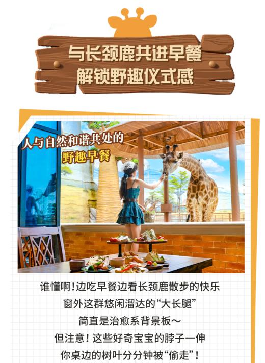 【寒假亲子】不打卡不赶路闽南奇遇记,住长颈鹿庄园\百年土楼,赶海\骑行\舞龙\簪花\海洋王国\采摘水果\手工面线|5~15岁亲子 商品图1