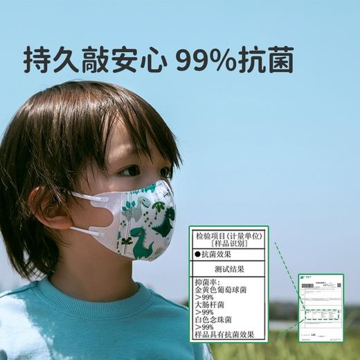 绿鼻子 口罩盲盒幼儿宝宝立体平面柳叶小童随机花色盲盒 商品图4