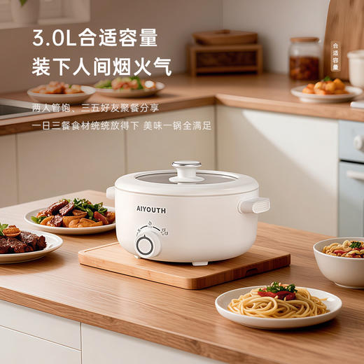 AIYOUTH艾青春 3L电火锅AI-HG309 商品图2