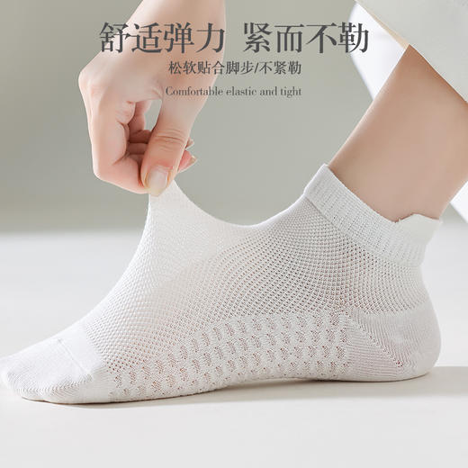 【国标消臭认证 7A级抗菌】猫人薄款消臭短袜 新疆精梳棉 吸汗透气 柔软亲肤 商品图12