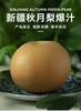 【西湖之声专享】新疆秋月梨5斤大果礼盒装 商品缩略图0