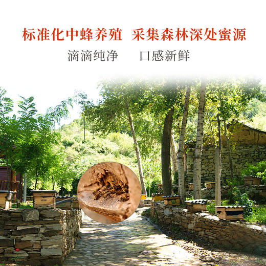 黄龙百花蜜 商品图4