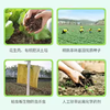 东升农场 有机蔬菜套餐 3斤装 商品缩略图2