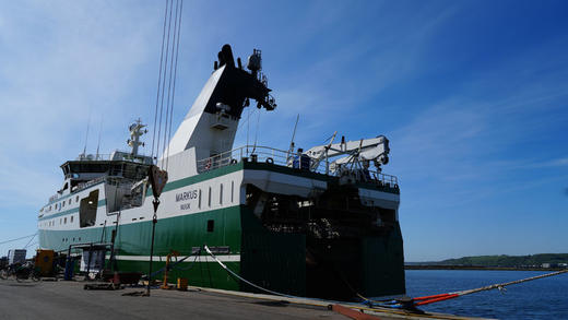 【鲜生说2025当季头籽北极甜虾】味道鲜美（头籽）天然纯净船冻锁鲜 北极甜虾来自遥远且纯净的丹麦格陵兰岛 商品图7