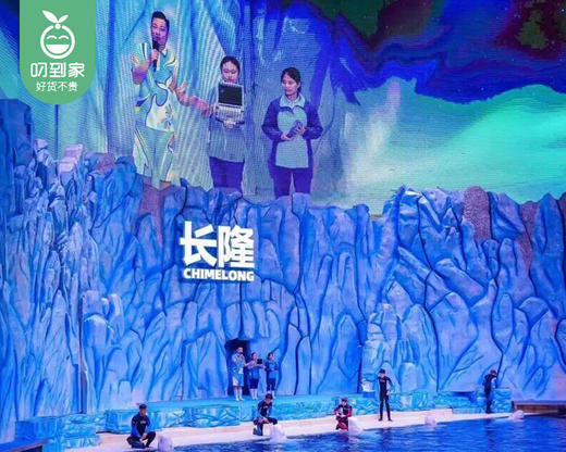 【2025|冬令营】港珠澳5天4晚三城联动精品游学冬令营/1名（营地：中国香港、澳门）【叼生活】 商品图4