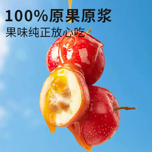公社联盟VC多酚山楂条组合装400g 商品图5
