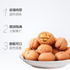 新疆纸皮核桃 商品缩略图1