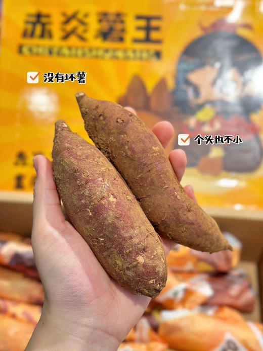 #赤炎薯王 🍠春暖花开🌸 又到露腿季， 女神姐姐们粗粮必备呀 商品图1