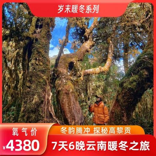 【1月5日出发】云南暖冬7日游！解锁大理腾冲高黎贡 商品图1