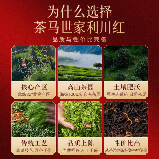 茶马世家特级利川红100g 商品图4