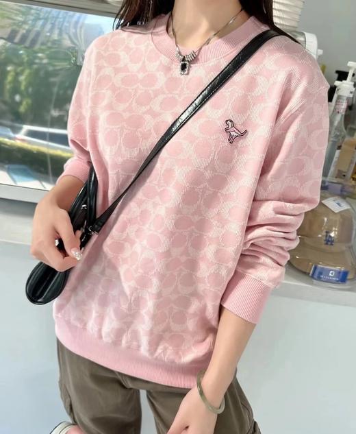 蔻家粉色满印小恐龙卫衣刺绣提花卫衣 商品图6